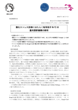 詳細（プレスリリース本文）