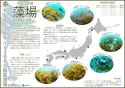 藻場調査・竹野サイト及び淡路由良サイトの平成28年度調査の結果速報