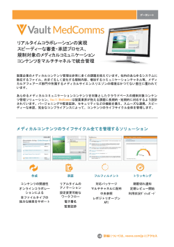 規制対象のメディ