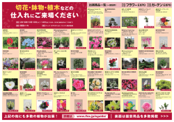 切花・鉢物・植木 仕入れにご来場ください
