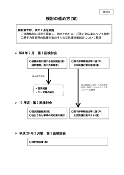 検討の進め方(案)