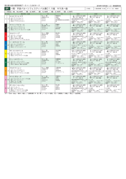 一関・平泉バルーンフェスティバル賞C1八組 サラ系一般