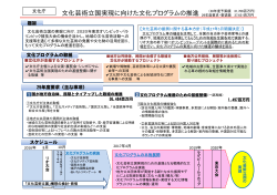 文化庁 (PDF／85KB)