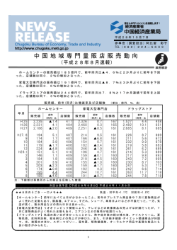 中国 地域専門 量販店販 売動向
