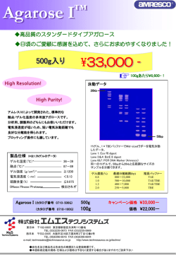 ｽﾗｲﾄﾞ ﾀｲﾄﾙなし
