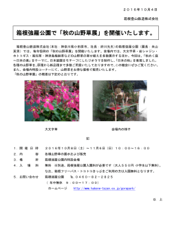箱根強羅公園で「秋の山野草展」を開催いたします。