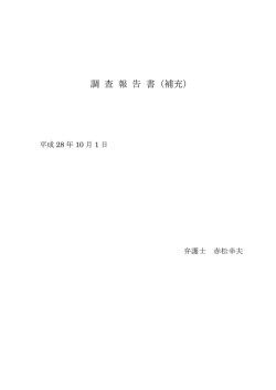 調 査 報 告 書（補充）