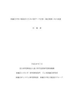 核融合中性子源設計のための核データ計算・検討業務 1 名の派遣 仕 様