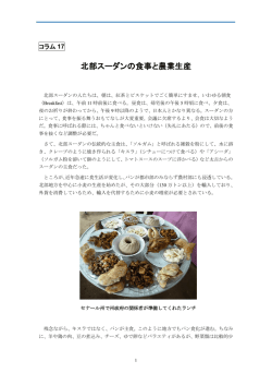 北部スーダンの食事と農業生産