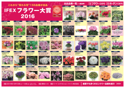 IFEX フラワー大賞