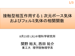 接触型相互作用する 1 次元ボース気体 およびフェルミ気体の相関関数