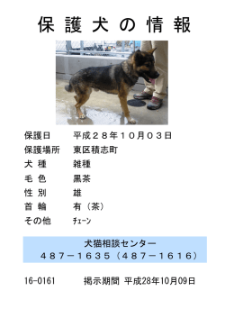 保 護 犬 の 情 報