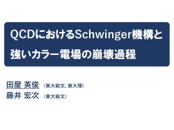 QCDにおけるSchwinger機構と 強いカラー電場の崩壊過程