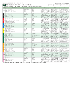 南部杯カウントダウン1C1一組 サラ系一般