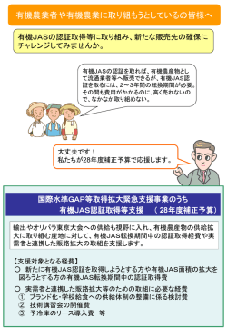 説明パンフ