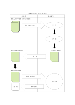 ～補助金交付までの流れ～ 申請者 泉佐野市