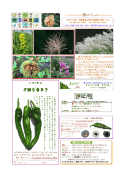 10月第1週号 vol.529