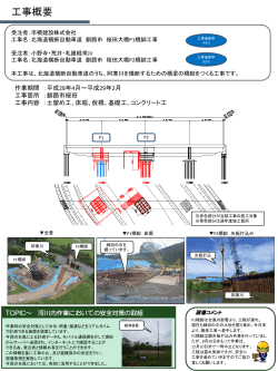 北海道横断自動車道 釧路市 桜田大橋P1･P2橋脚工事