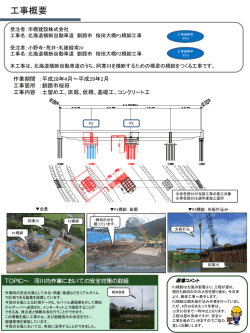北海道横断自動車道 釧路市 桜田大橋P1･P2橋脚工事
