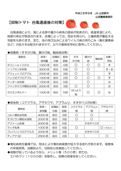 抑制トマトの管理