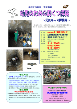 募集要項 洞窟体験 （PDF : 396KB）