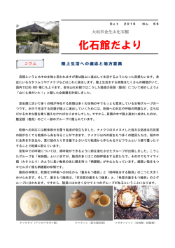 10月号 №66 陸上生活への適応と地方変異