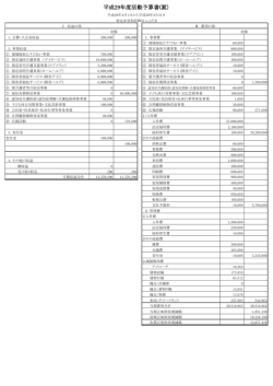 平成29年度活動予算書(案）