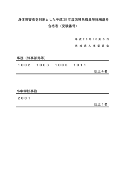 H28 身体障害者選考合格者