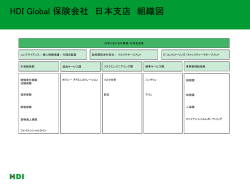 Folie 1 - HDI Global SE