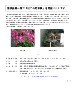 箱根強羅公園で「秋の山野草展」を開催いたします。