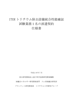 ITER トリチウム除去設備統合性能確証 試験業務1名の派遣契約 仕様書
