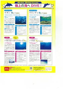PDFで詳細を見る - Marine Diving