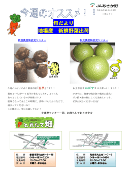 旬だより 地場産 新鮮野菜出荷
