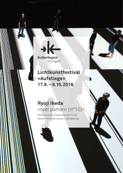 Ryoji Ikeda »test pattern [n°10