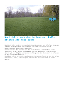 Drei Jahre nach dem Hochwasser: Halle pflanzt 249