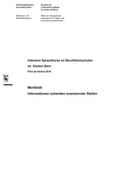 Informationen intensive Sprachf&ouml;rderung Berufsfachschulen