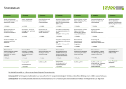 STUDIENPLAN