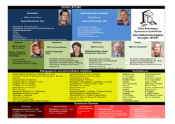 Who`s who? - Der Geschäftsverteilungsplan - CSG-Lahr