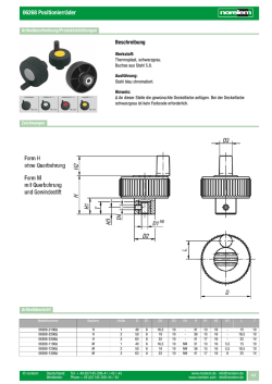 06268 Positionierräder