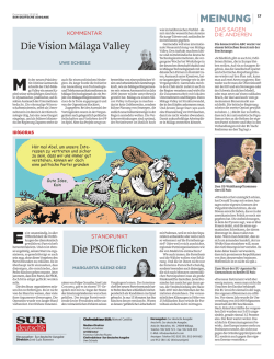 Die Vision M&aacute;laga Valley Die PSOE flicken MEINUNG