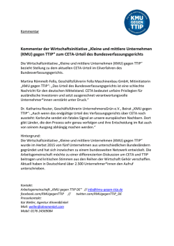 Kommentar der Wirtschaftsinitiative „Kleine und