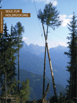 Holzr&uuml;ckung