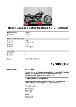 Detailansicht Harley-Davidson Softail Custom FXSTC