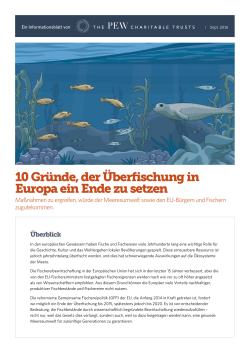 10 Gründe, der Überfischung in Europa ein Ende zu setzen