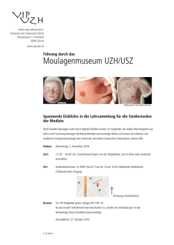 Flyer - VIP-UZH Verein des Infrastruktur