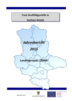Jahresbericht 2015 - FSH - Freie Straff&auml;lligenhilfe eV Halle