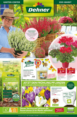 jetzt den fr&uuml;hling pflanzen