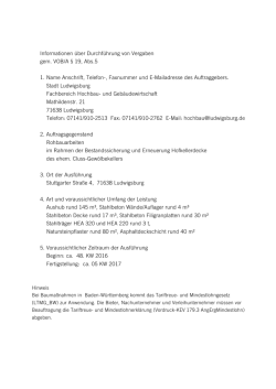 Informationen &uuml;ber Durchf&uuml;hrung von Vergaben gem. VOB/A &sect; 19