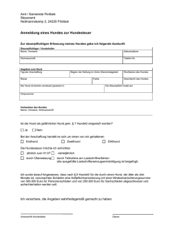 Hundesteueranmeldung