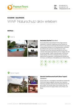 Hotels - Papaya Tours